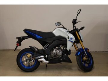 2022 Kawasaki Z125 Pro