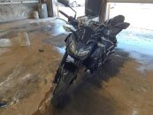 2022 Kawasaki Z900 ABS