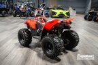 Thumbnail Photo 4 for New 2022 Kayo Fox 70