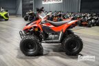 Thumbnail Photo 5 for New 2022 Kayo Fox 70
