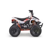 New 2022 Kayo Fox 70