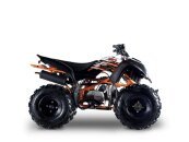 New 2022 Kayo Storm 180