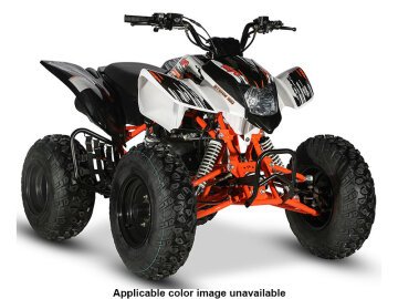 New 2022 Kayo Storm 180