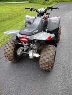 Thumbnail Photo 1 for 2022 Polaris Phoenix 200