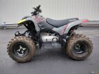 Thumbnail Photo 3 for 2022 Polaris Phoenix 200
