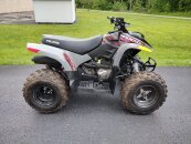 2022 Polaris Phoenix 200