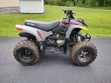 2022 Polaris Phoenix 200