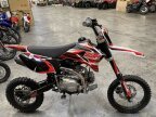 Thumbnail Photo 5 for New 2022 SSR SR125