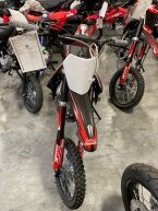 Thumbnail Photo 3 for New 2022 SSR SR125