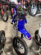 Thumbnail Photo 2 for New 2022 SSR SR125