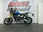 Thumbnail Photo 4 for 2022 Triumph Scrambler