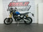 Thumbnail Photo 4 for 2022 Triumph Scrambler