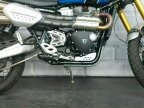 Thumbnail Photo 2 for 2022 Triumph Scrambler
