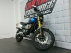 Thumbnail Photo 1 for 2022 Triumph Scrambler