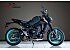2022 Yamaha MT-09