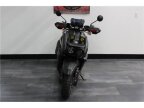 Thumbnail Photo 1 for 2022 Yamaha Zuma 125