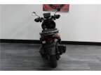 Thumbnail Photo 3 for 2022 Yamaha Zuma 125