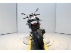 Thumbnail Photo 2 for 2023 BMW F900R