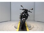 Thumbnail Photo 3 for 2023 BMW F900R