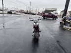 Thumbnail Photo 2 for New 2023 Benelli TNT 135