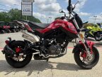 Thumbnail Photo 4 for 2023 Benelli TNT 135