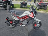 New 2023 Benelli TNT 135