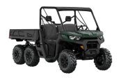 New 2023 Can-Am Defender DPS HD10
