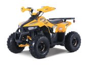 New 2023 Denago Mudhawk 6