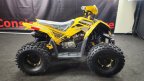 Thumbnail Photo 6 for New 2023 Denago Trailhawk