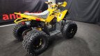 Thumbnail Photo 3 for New 2023 Denago Trailhawk