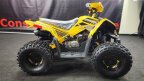 Thumbnail Photo 5 for New 2023 Denago Trailhawk