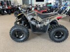 Thumbnail Photo 3 for New 2023 Denago Trailhawk