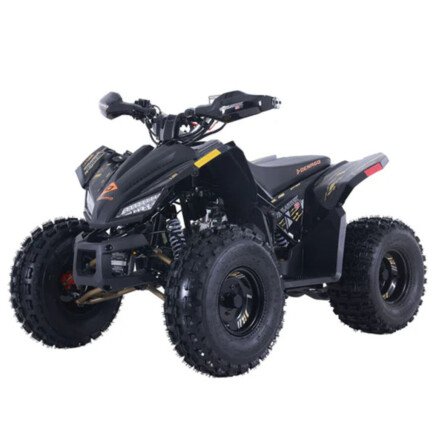 Photo 1 for New 2023 Denago Trailhawk