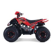 New 2023 Denago Trailhawk