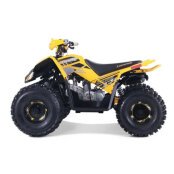 New 2023 Denago Trailhawk