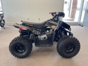 New 2023 Denago Trailhawk
