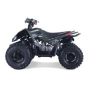 New 2023 Denago Trailhawk