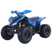 New 2023 Denago Trailhawk