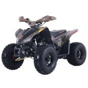 New 2023 Denago Trailhawk