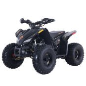 New 2023 Denago Trailhawk