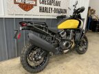 Thumbnail Photo 6 for 2023 Harley-Davidson Pan America Special