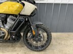 Thumbnail Photo 2 for 2023 Harley-Davidson Pan America Special