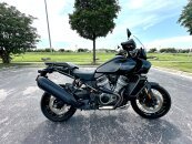 2023 Harley-Davidson Pan America Special