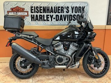 2023 Harley-Davidson Pan America Special