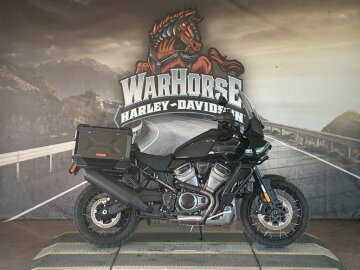 2023 Harley-Davidson Pan America Special