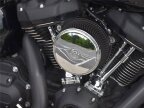 Thumbnail Photo 2 for 2023 Harley-Davidson Softail