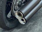 Thumbnail Photo 6 for 2023 Harley-Davidson Softail