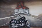 Thumbnail Photo 1 for 2023 Harley-Davidson Softail Standard