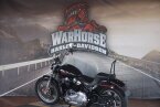 Thumbnail Photo 3 for 2023 Harley-Davidson Softail Standard