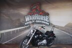 Thumbnail Photo 4 for 2023 Harley-Davidson Softail Standard